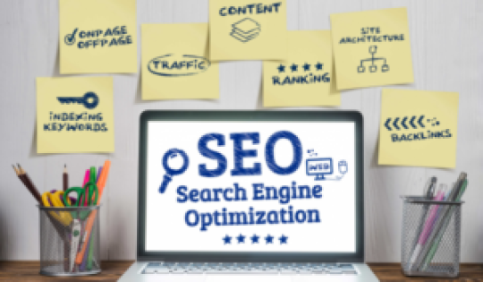 SEO Can Help Your Business Grow